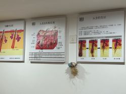 -章光101防脱养发荟