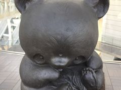 -凤凰中心