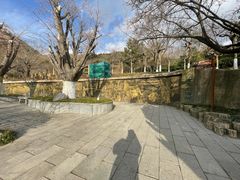 -石老人观光园