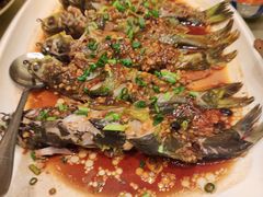 豆瓣酱黄骨鱼-沙龙酒家