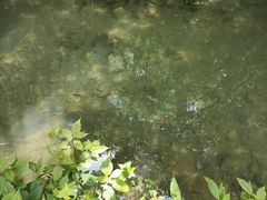 -桂林古东瀑布景区