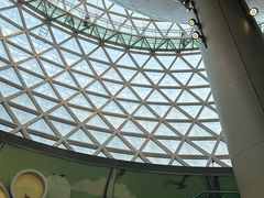 -陕西自然博物馆