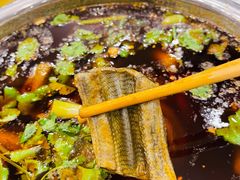 冷锅脆鳝-高坎一品甲鱼庄(两河店)