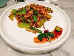 蝶园小炒-蝶园·装修中(BFC外滩金融中心店)