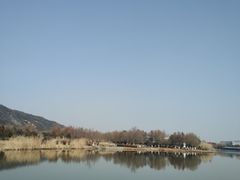 -长广溪湿地公园