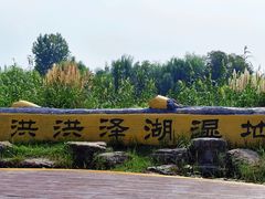 -泗洪洪泽湖湿地景区