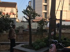 -长发西饼(临顿路店)
