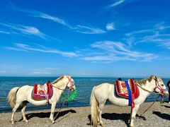-青海湖国家重点风景名胜区