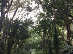 -广西壮族自治区药用植物园