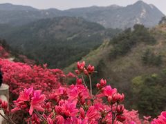 -木兰云雾山