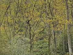 -藏龙百瀑风景区