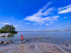 -宝安西湾红树林湿地公园