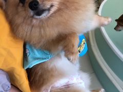 -怪兽屋·羊驼·猫咖·狗咖(俊华广场店)