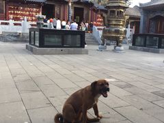 -大同市圆通寺