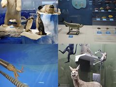 -国家自然博物馆