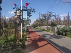 -上海长兴岛郊野公园