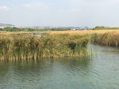 -苏州太湖国际会议中心