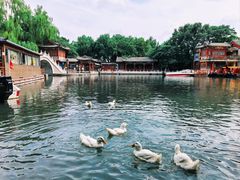 -皇家御河游(紫御湾码头)