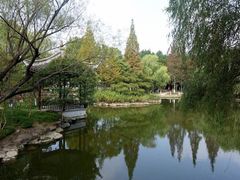 -瀛洲公园