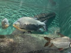 -上海海洋水族馆