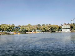 景点-沈阳植物园