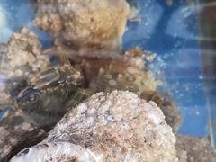 -万福缘海鲜家常菜