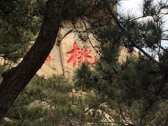 -崂山仰口游览区