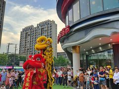 -复旦软件园