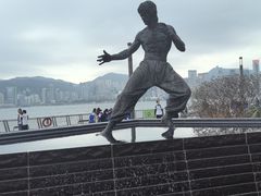 -星光大道