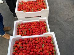 -西郊国际农产品交易中心