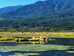 -腾冲北海湿地