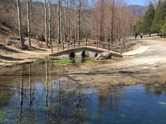 -白水寺森林公园