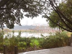 -南宁南湖公园