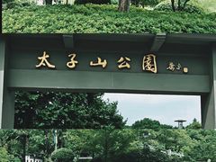 -太子山公园(园东路)