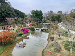 -东莞植物园