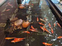 -山东政协大厦维景大酒店