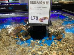 -盒马鲜生(岭南新世界店)
