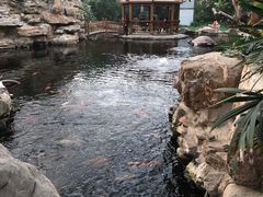 -龙达温泉生态城