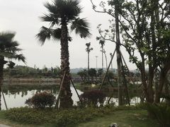 -枫香湖儿童公园