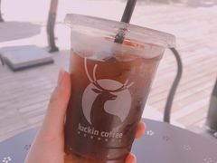冰美式-瑞幸咖啡(北工大理科楼店)