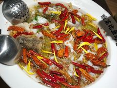 -太二酸菜鱼(石家庄万象城店)