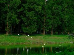 -黄海国家森林公园