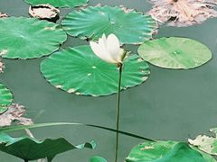 -木塔寺遗址生态公园