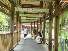 -中国大熊猫保护研究中心雅安碧峰峡基地