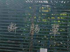 -广州神农草堂中医药博物馆