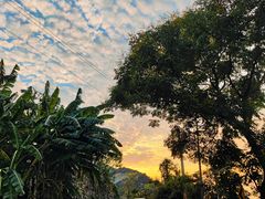 -缙云山景区