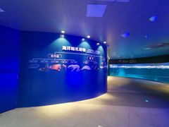 -青岛海底世界-水族馆
