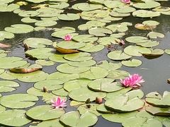 -长春公园(普阳街道)