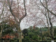 -杭州香格里拉饭店