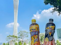 -二沙岛艺术公园